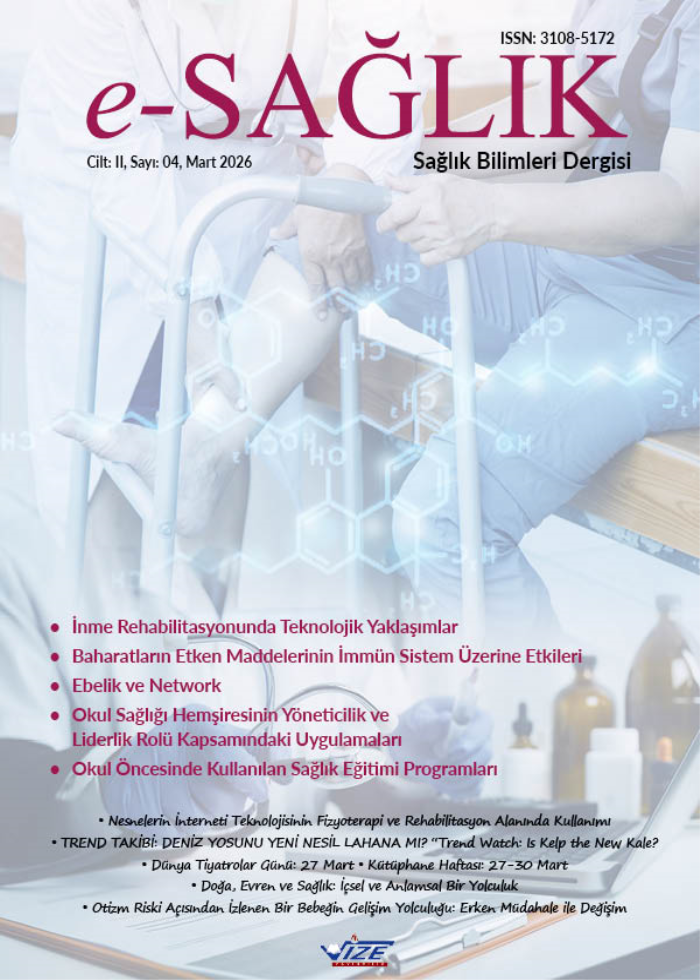 e-SAĞLIK Sağlık Bilimleri Dergisi 04